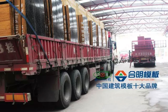 建筑模板胶合板