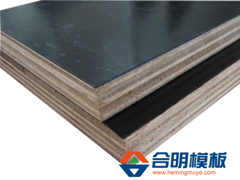 福建建筑模板知识：松木建筑模板和胶合建筑模板的区别